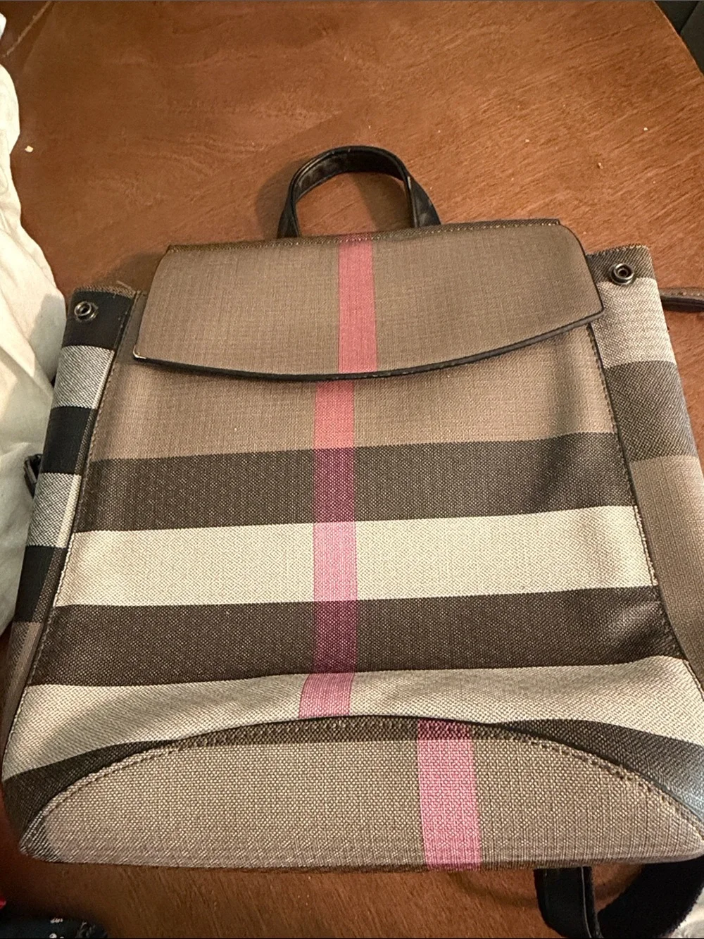 Striped Canvas Men's Backpack - Taupe with Pink Accent
